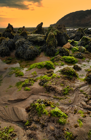Bridgewater Bay
