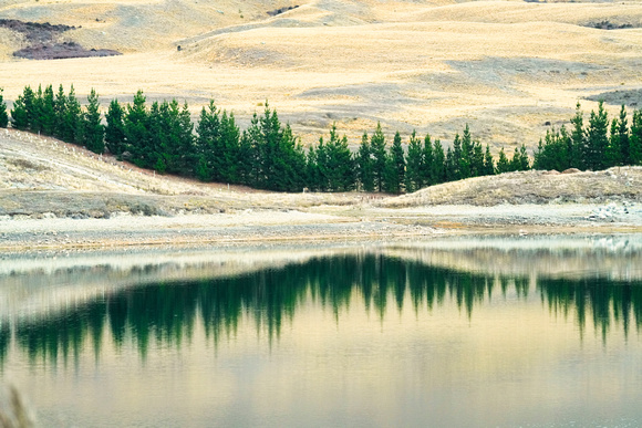 Edora, New Zealand