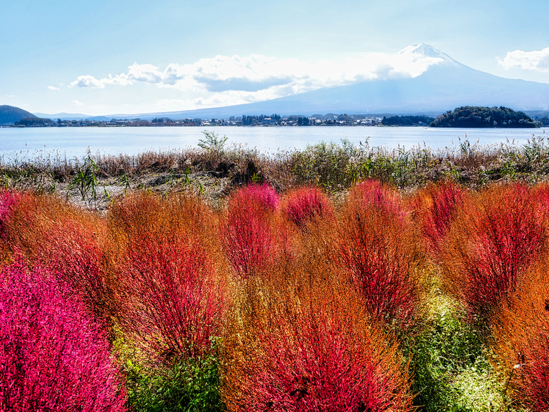 Kawaguchiko, Mount Fuji, Japan