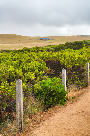 The Crag, Great Ocean Road