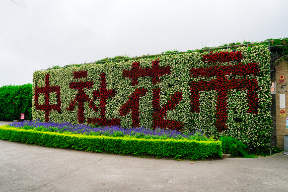 Flower Market, Taiwan