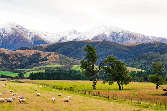 Arthurs Pass, New Zealand