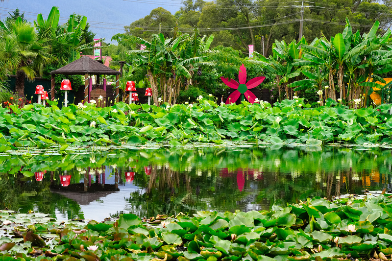 Blue Lotus Garden, Yarra Junction