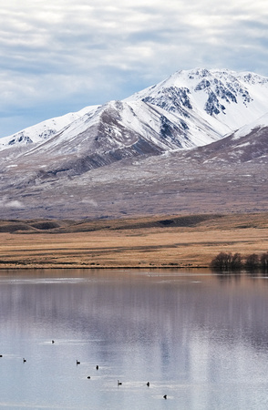 Edora, New Zealand