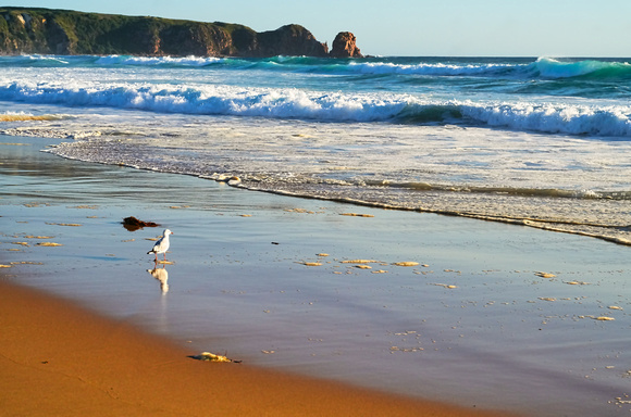 Pinnacles, Cape Woolamai, Phillip Island