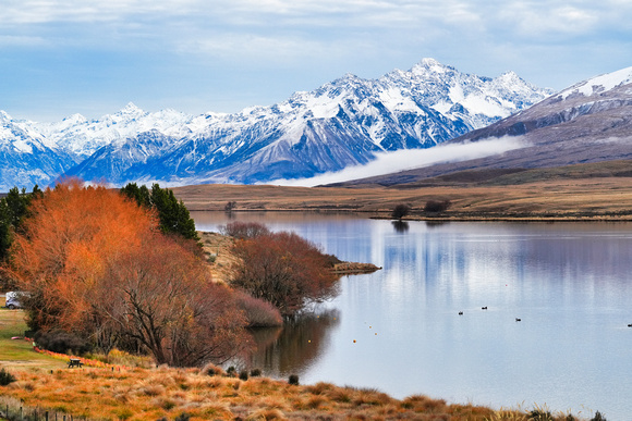 Edora, New Zealand