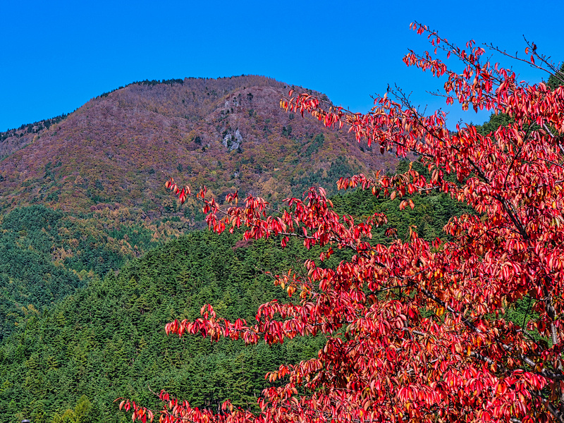 Kawaguchiko, Mount Fuji, Japan