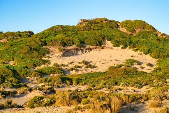 Pearses Bay, Blairgowrie