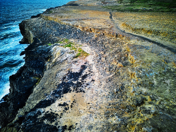 Petrified Forest, Portland