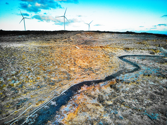 Petrified Forest, Portland