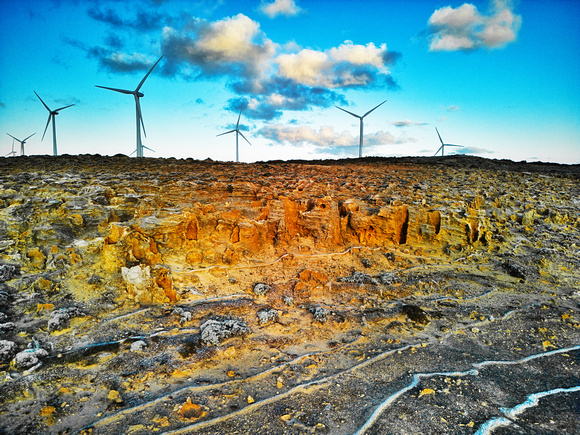 Petrified Forest, Portland