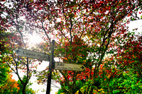 Alfred Nicholas Garden, Melbourne
