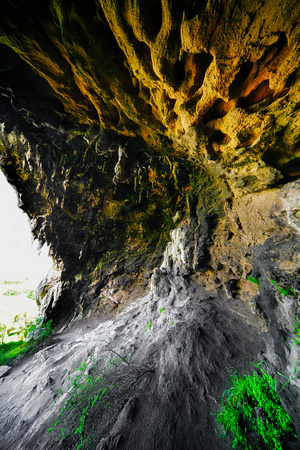 Tarragal Caves, Cape Bridgewater