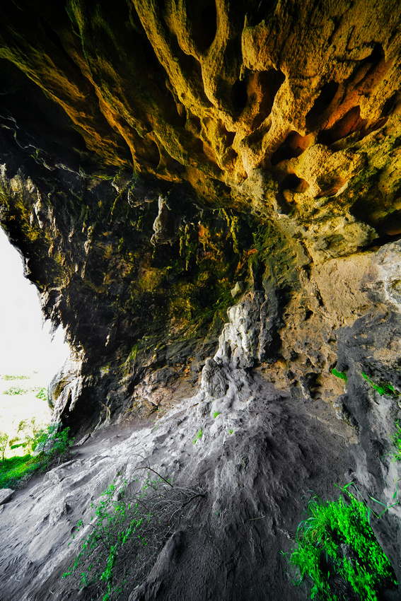Tarragal Caves, Cape Bridgewater