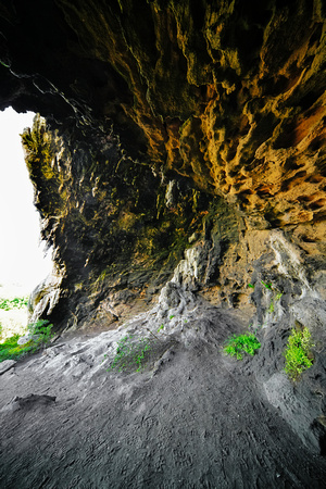 Tarragal Caves, Cape Bridgewater