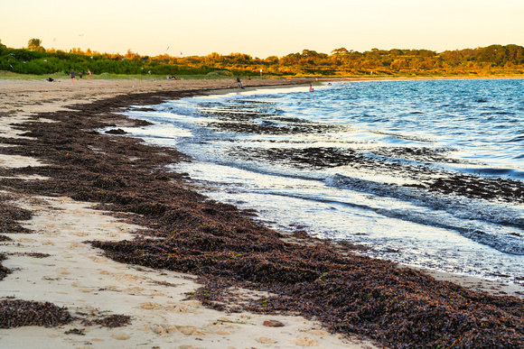 Balnarring Beach, Melbourne