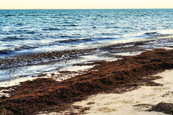 Balnarring Beach, Melbourne