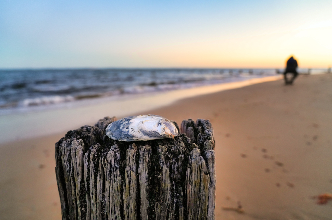 Balnarring Beach, Melbourne