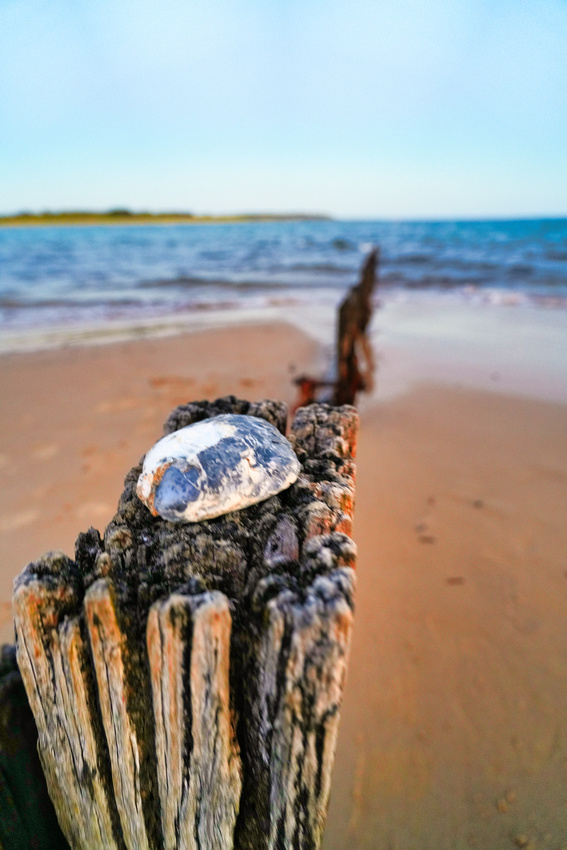 Balnarring Beach, Melbourne