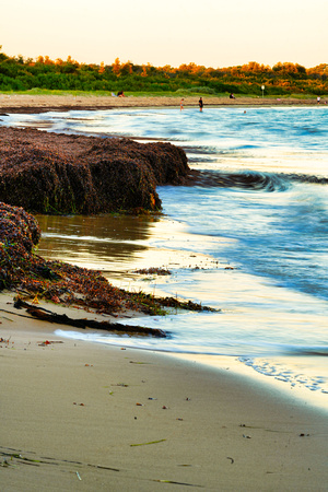 Balnarring Beach, Melbourne