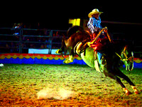 Scoresby Rodeo Event