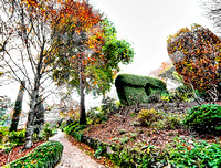 Cloud Hill Garden, Mount Dandenong