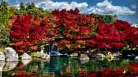 West Honshu Autumn, Japan