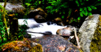 Torongo Creek