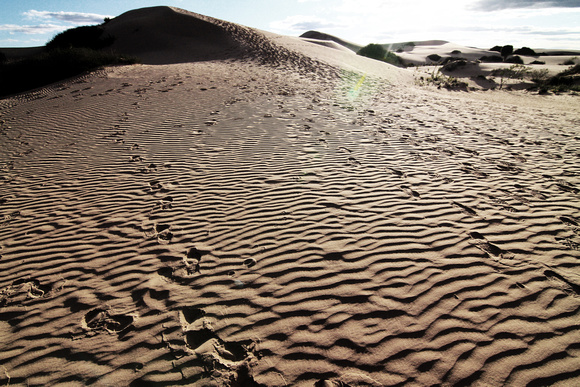 Sun glare in Munga Desert