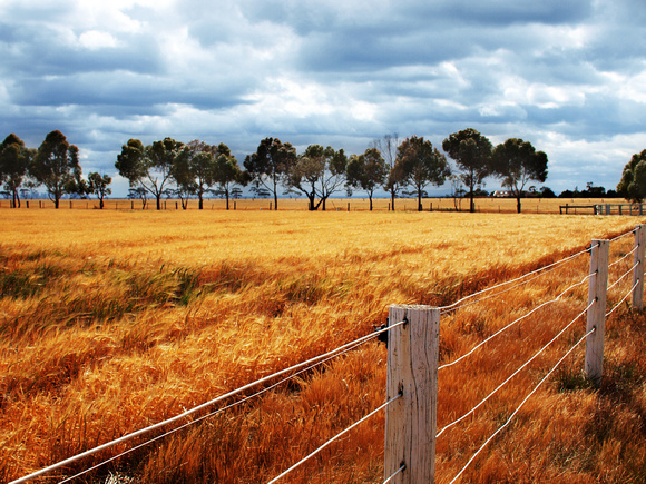 Country Side of Traralgon