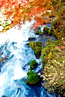 Kyoto creek, Kyoto