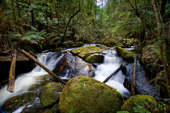 Mount Taggerty Creek, Victoria, Australia