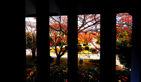 Out of window View, Kyoto