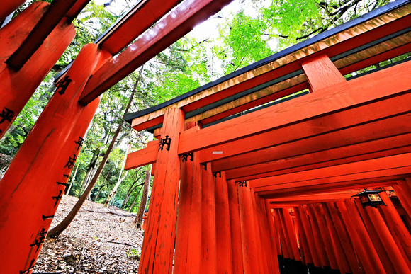 Fushimi Inari Shrine Gates