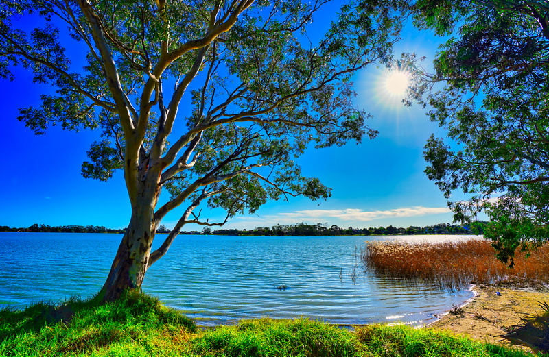 Lake Boort scenery, Australia