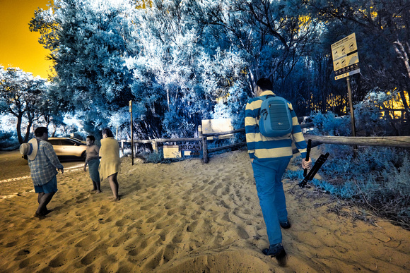 Infrared Balnarring Beach