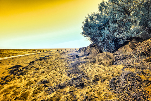 Infrared Balnarring Beach