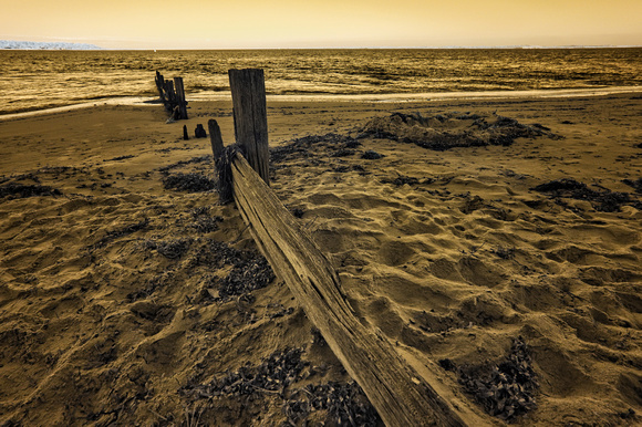 Infrared Balnarring Beach