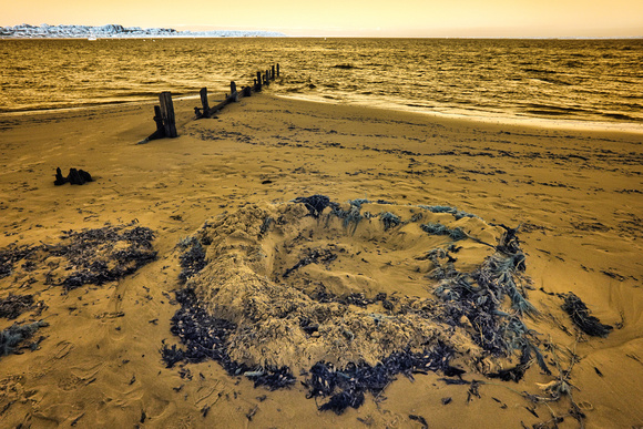 Infrared Balnarring Beach