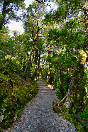 Arthurs Pass, New Zealand