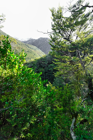 Arthurs Pass, New Zealand