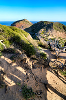 Pulpit Rock, Cape Schanck