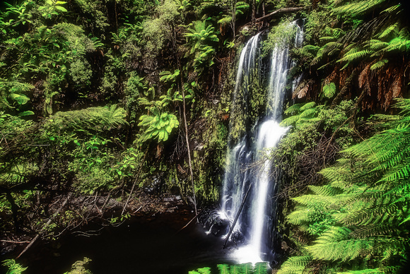 Beauchamps falls, Beech forest, Australia