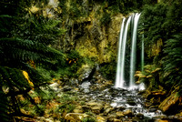 Hopetoun falls, Beech forest