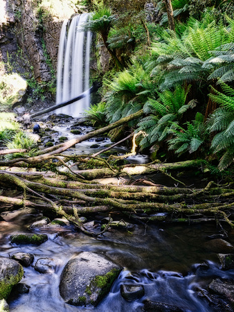 Hopetoun waterfall, Beech Forest