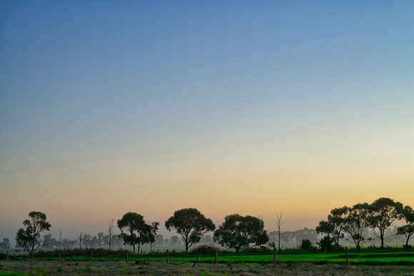 Nyah West Sunrise
