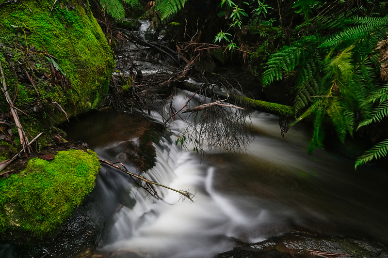 Toorongo Falls, Noojee