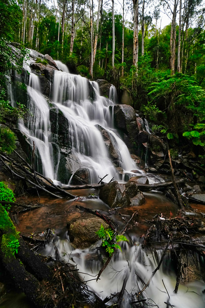 Roentare | Toorongo Waterfall, Noojee, Gippsland, Australia