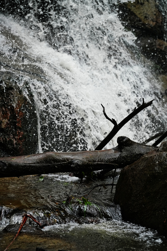 Toorongo Falls, Noojee