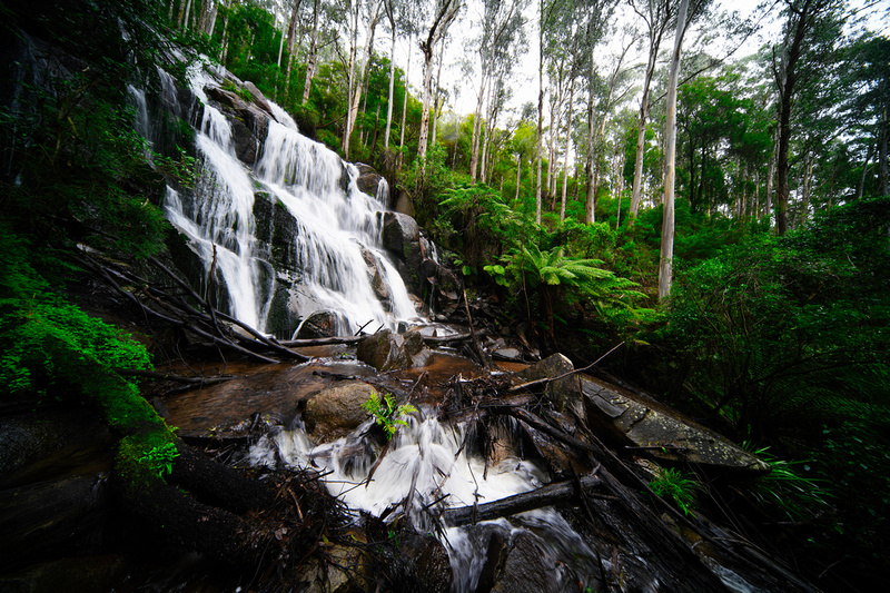 Toorongo Falls, Noojee